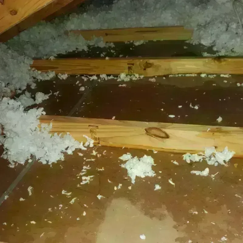 Attic Water Damage in Murray, KY