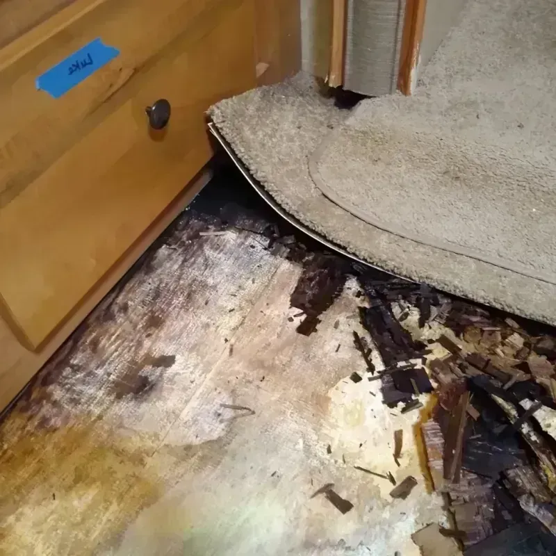 Wood Floor Water Damage in Murray, KY